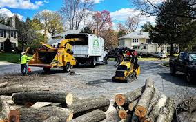 Crewe, VA Tree Removal and Landscaping Services Company